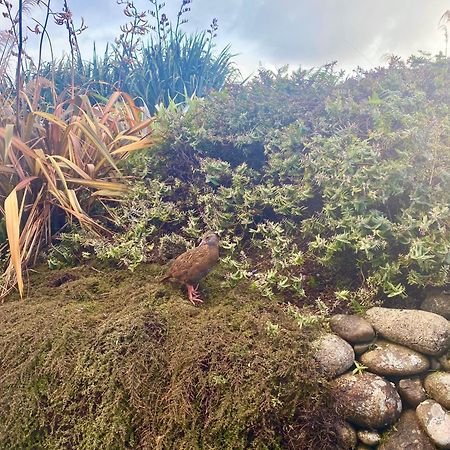 Wild Weka Eco Stay - Off-Grid 4Wd Recommended Waimarie Exterior foto