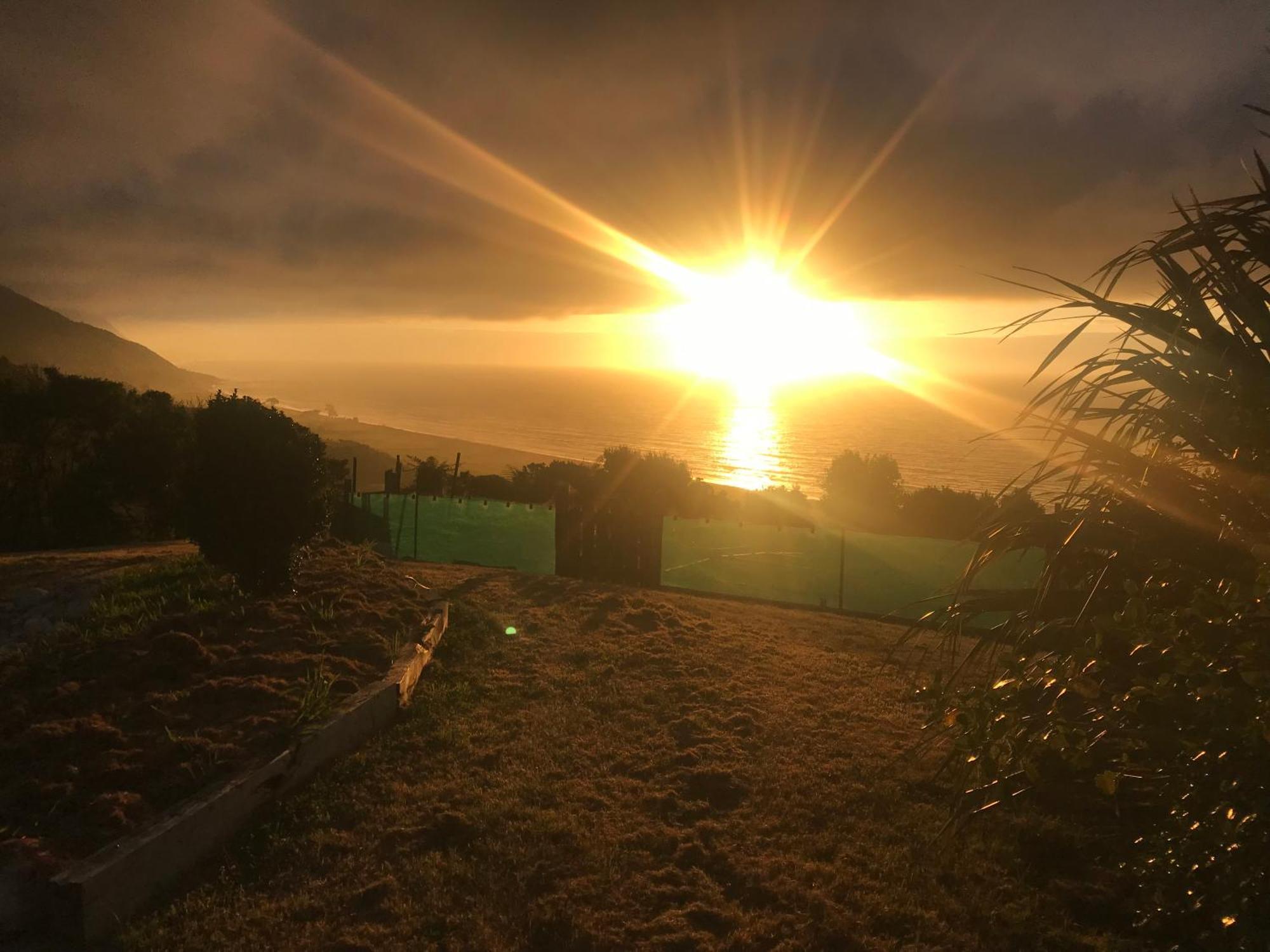 Wild Weka Eco Stay - Off-Grid 4Wd Recommended Waimarie Exterior foto
